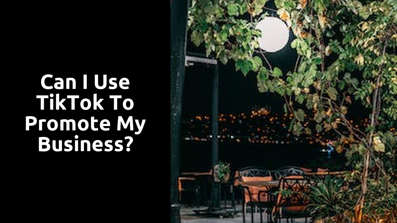 Can I Use TikTok To Promote My Business?